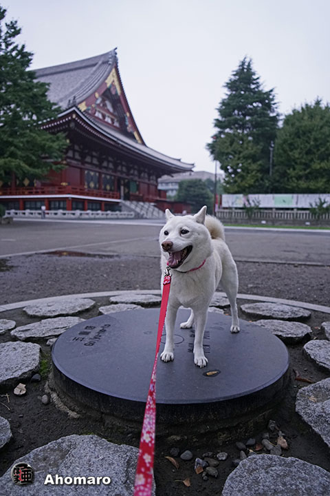 写真00