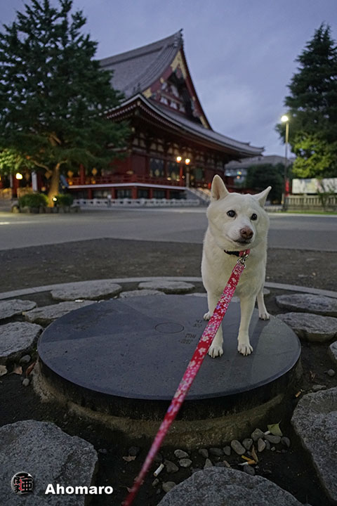 写真00
