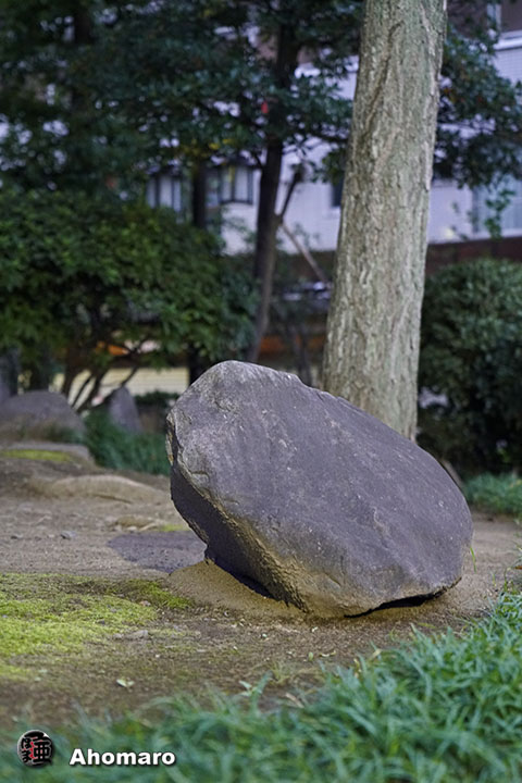 写真00
