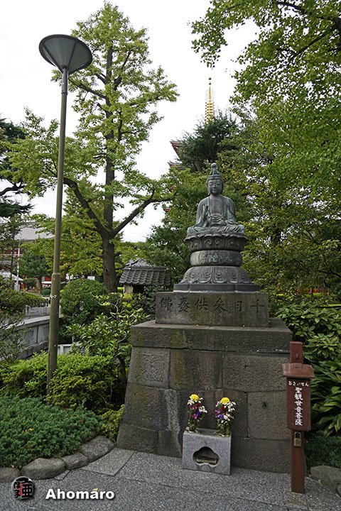 写真00