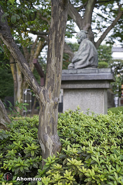 写真00
