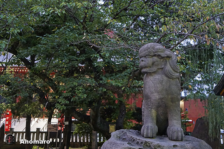 写真00