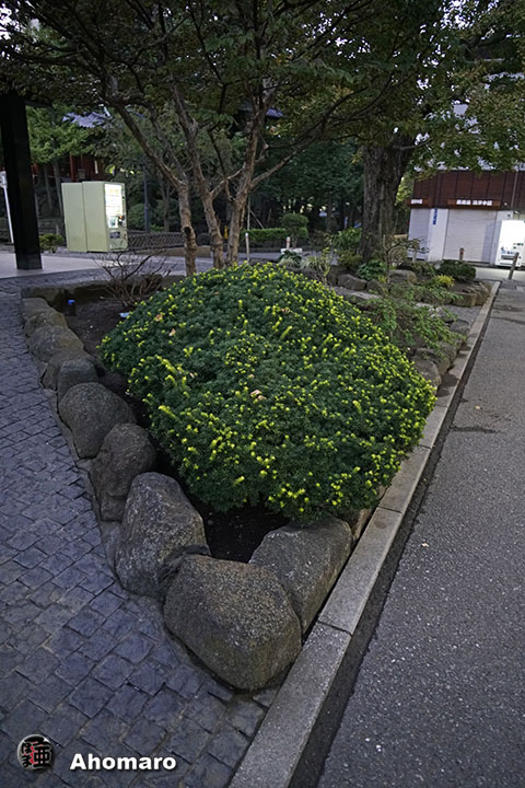 写真00