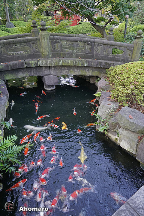 写真00