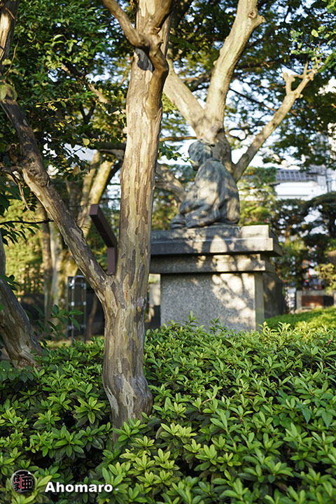 写真00