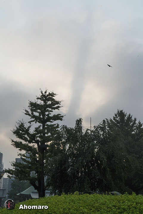 写真00