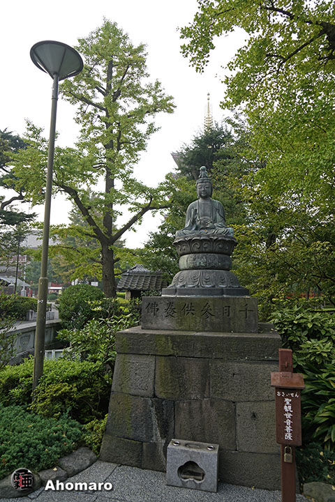 写真00