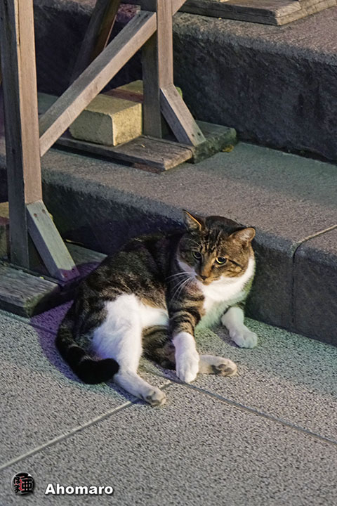 写真00