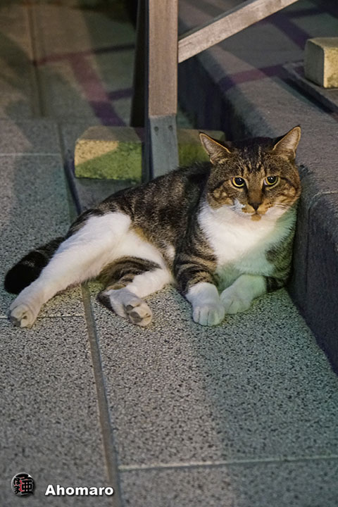 写真00