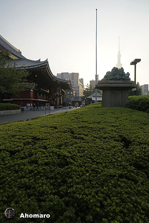 写真00