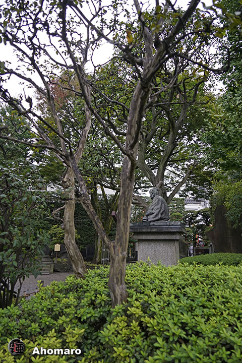 写真00
