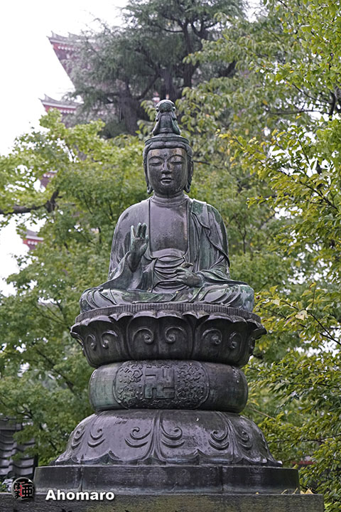 写真00