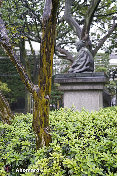 写真00