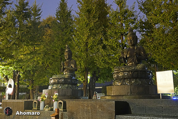 写真00