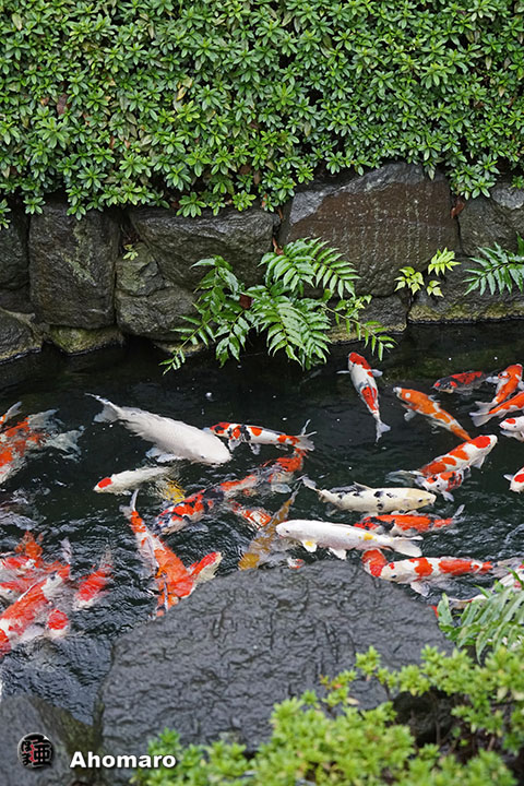写真00