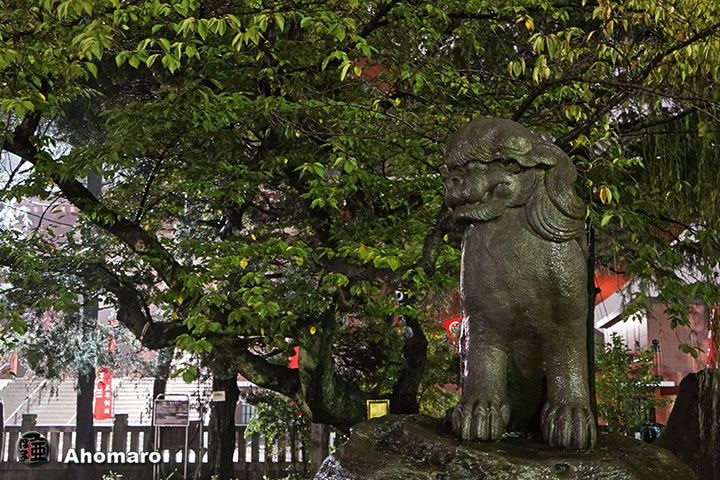 写真00