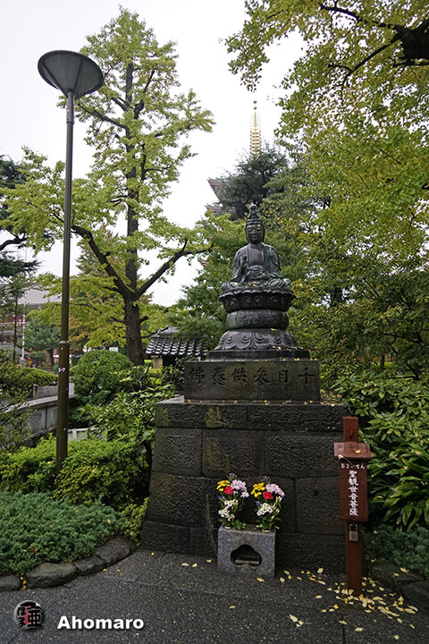 写真00