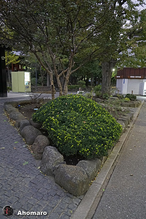 写真00