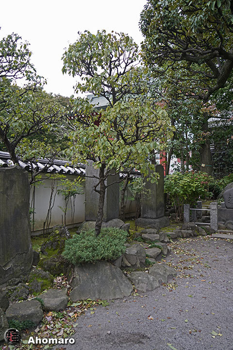 写真00