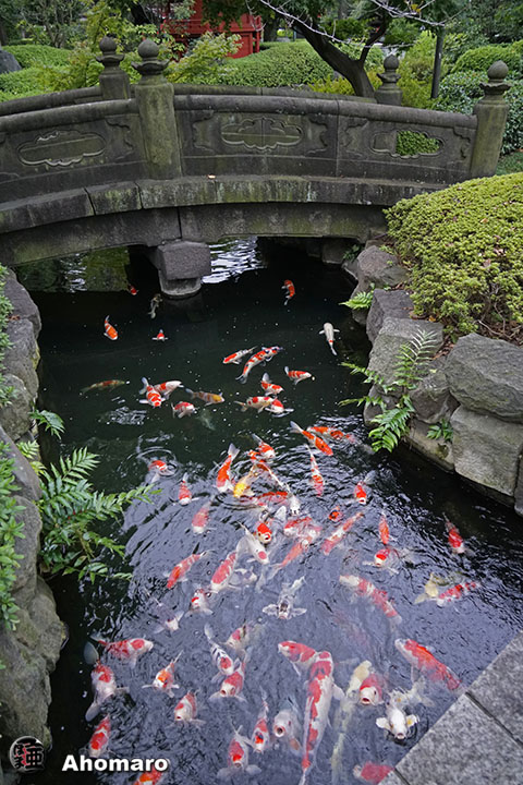写真00
