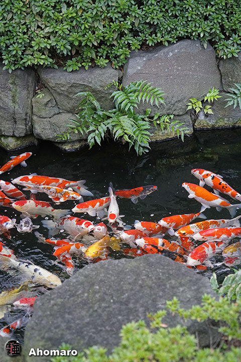 写真00