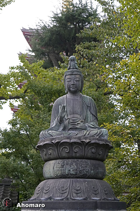 写真00
