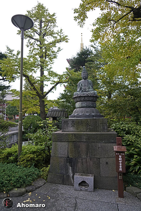 写真00