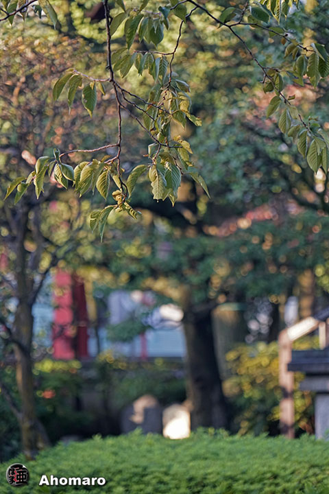 写真00