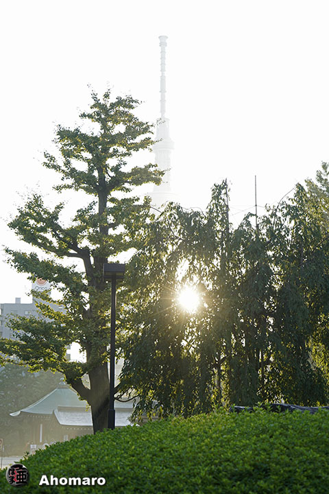 写真00