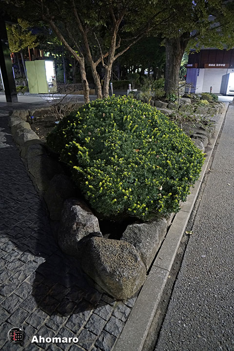 写真00