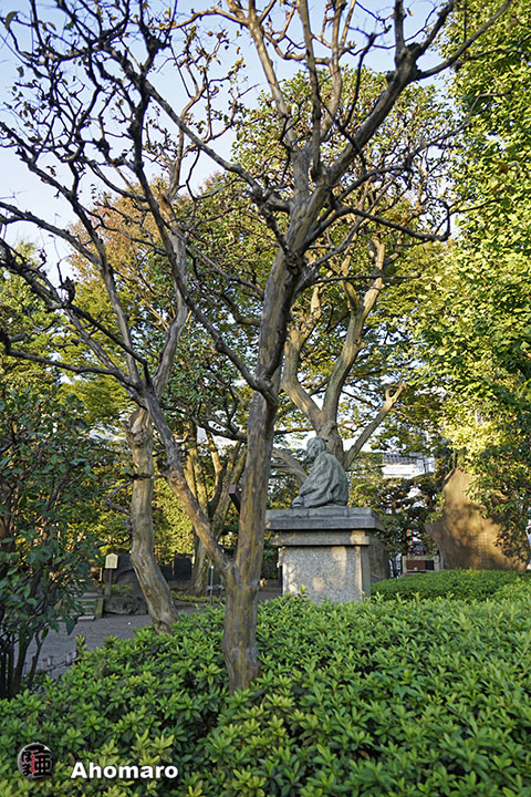 写真00