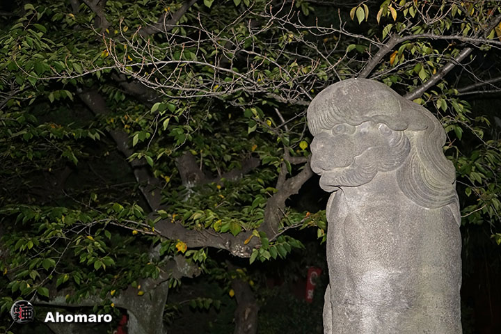 写真00