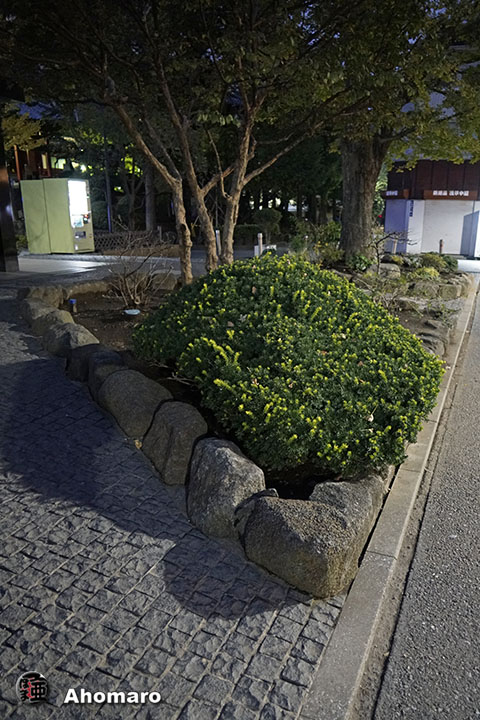 写真00