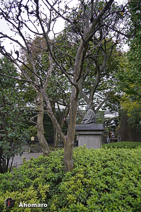 写真00