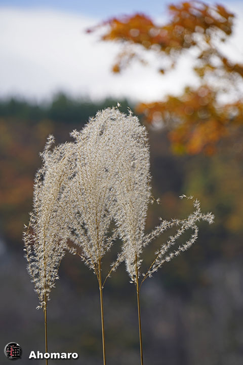 写真00