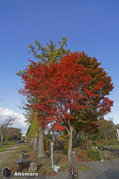 写真00