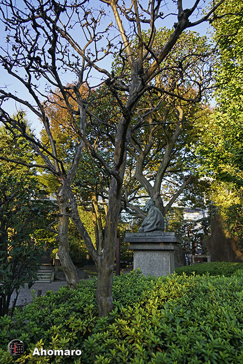 写真00