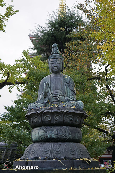 写真00