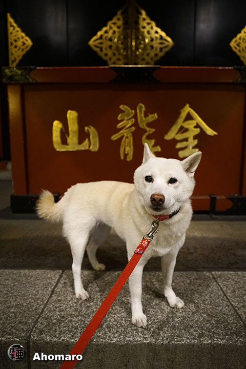 ʐ^00