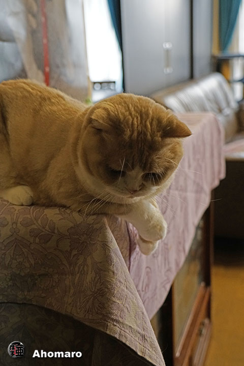 ʐ^00
