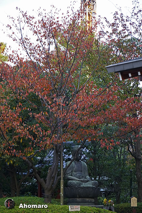 写真00