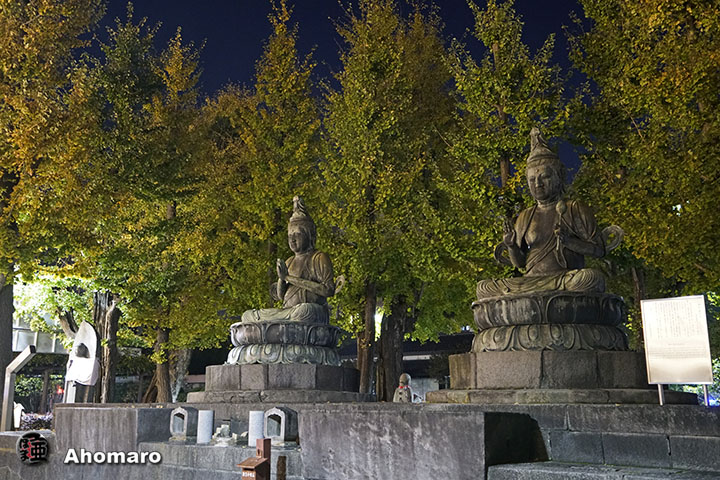 写真00