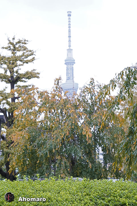 写真00
