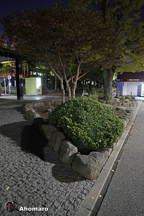 写真00