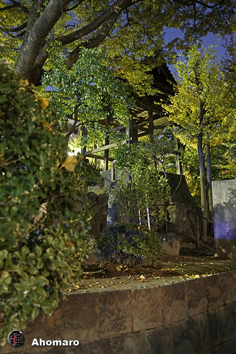 写真00