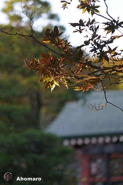 写真00