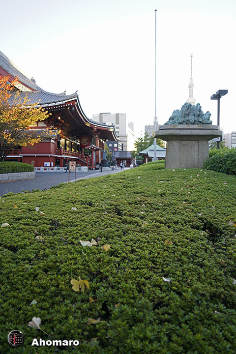 写真00