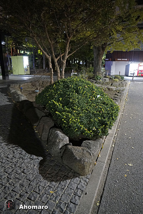 写真00