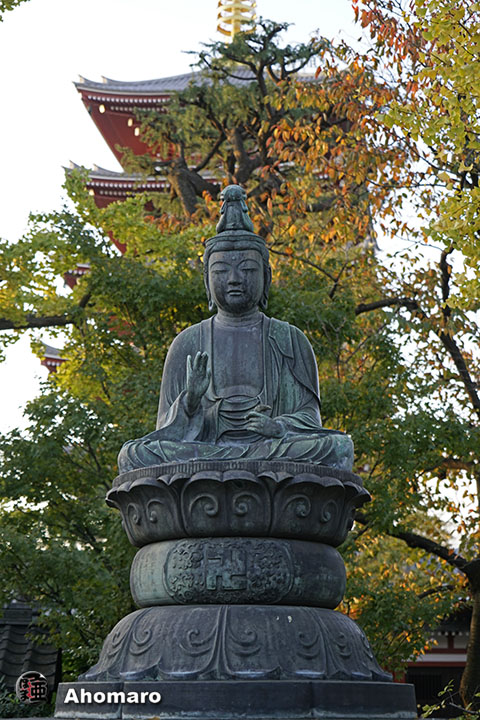 写真00