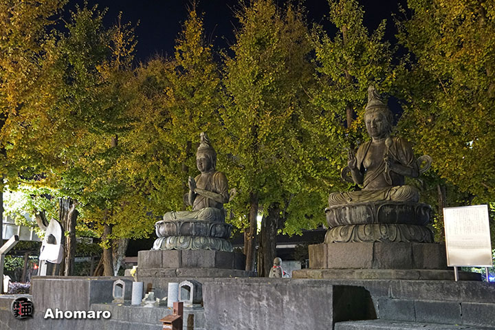 写真00